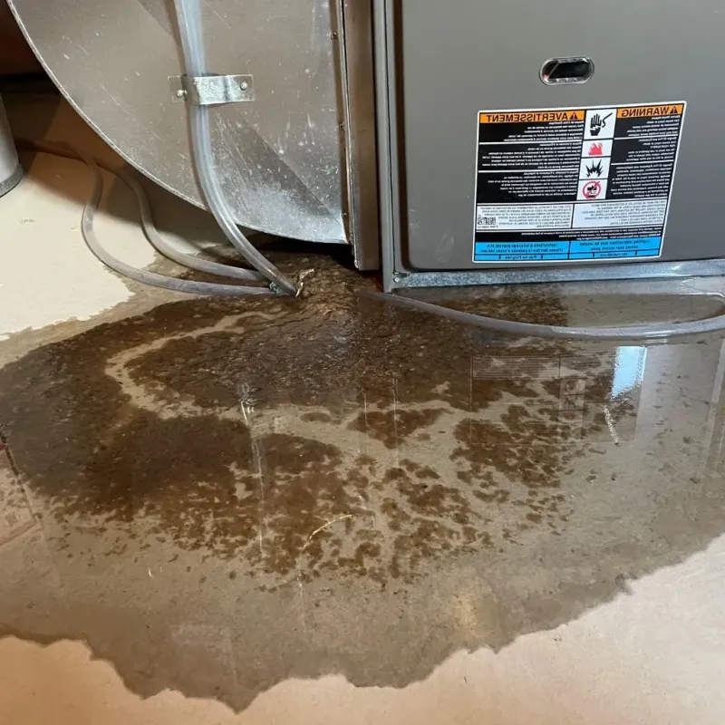 Pipe Burst and Leak Restoration in Northampton, PA